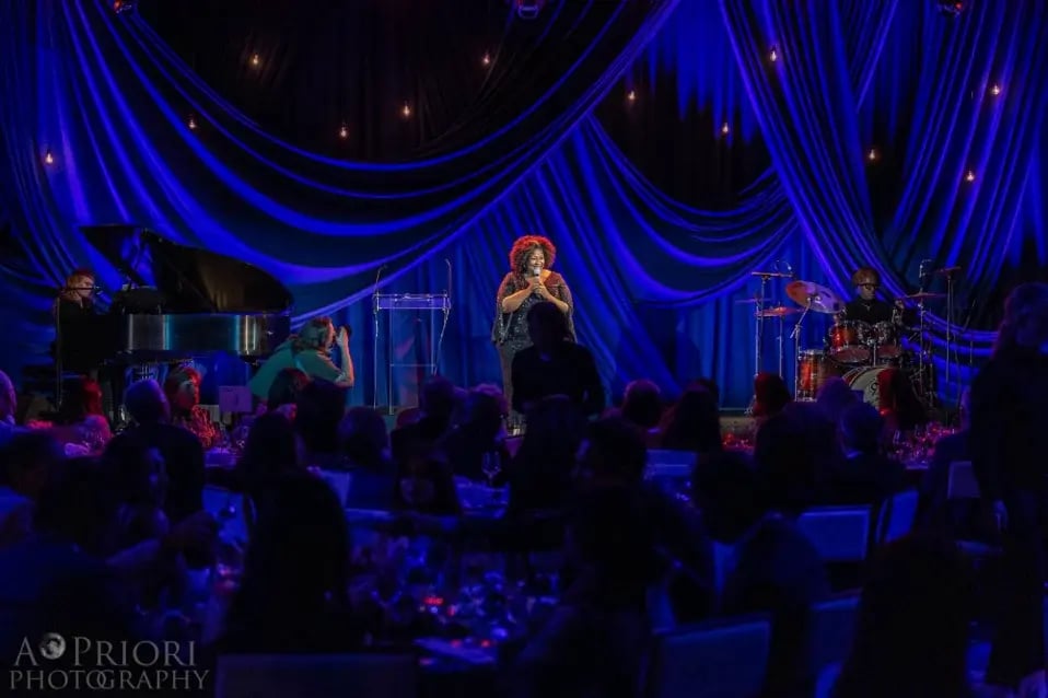ART+Gala+Event+Lighting+Drapery