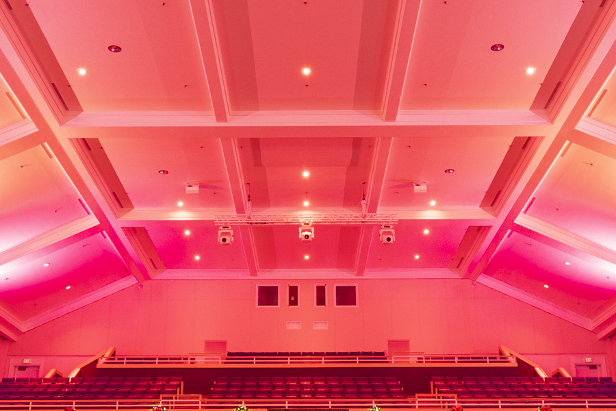 Gordon+Lighting+Pink