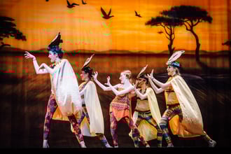 Port+Lighting+LION+KING+Theatrical+Lighting-1