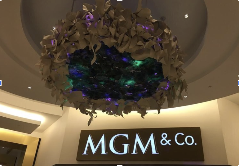 APEX LIGHTING SOLUTIONS-