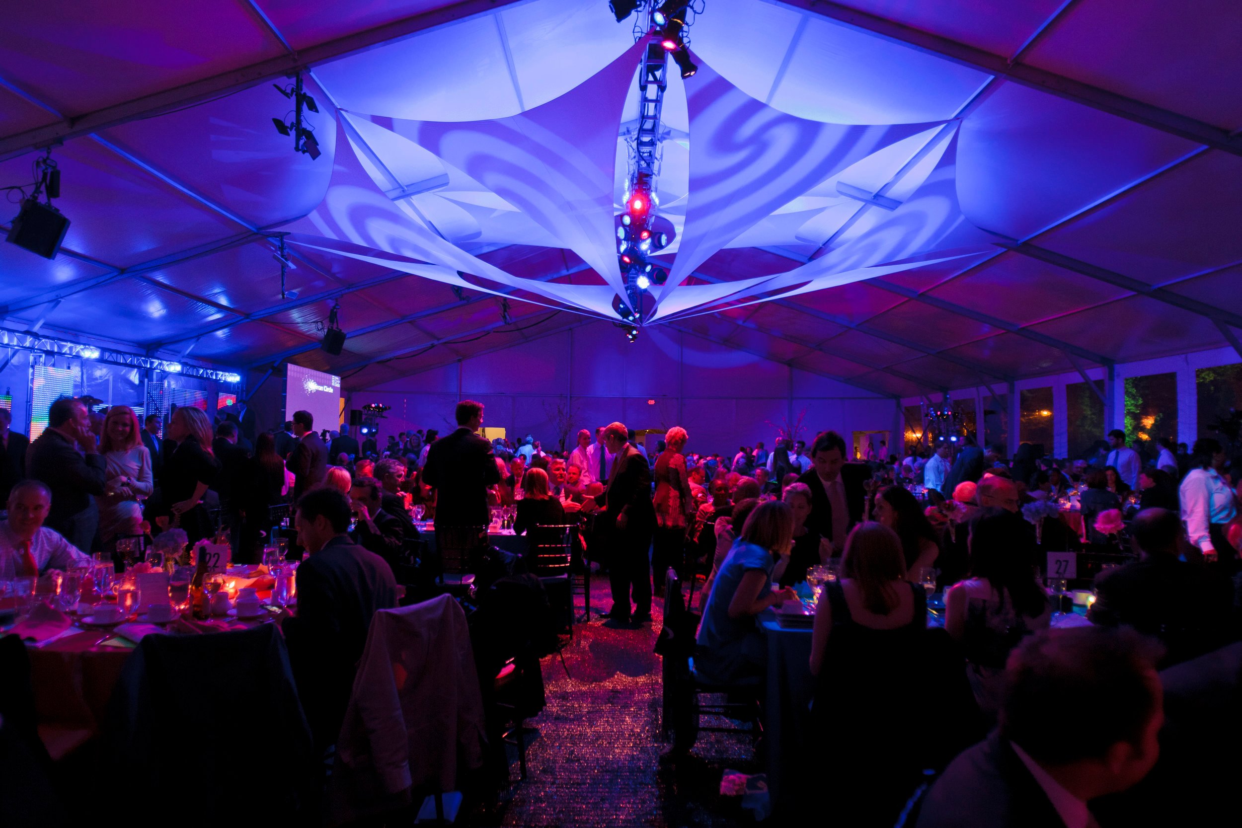 Stretchy+Event+Drape+Projection