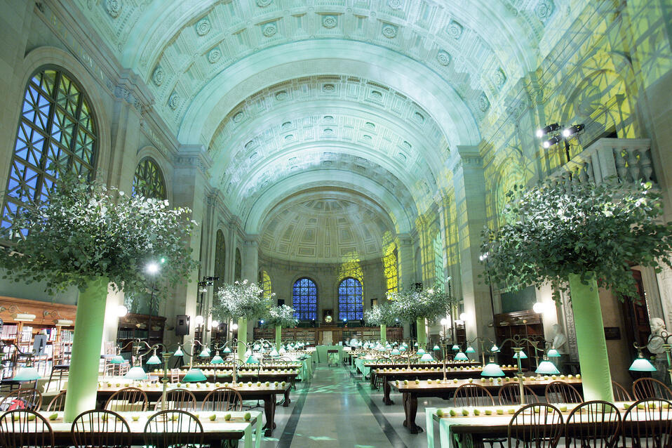 Curated by Light: Transforming Venues Through Customized Lighting Techniques