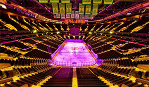 td-garden-arena-lighting